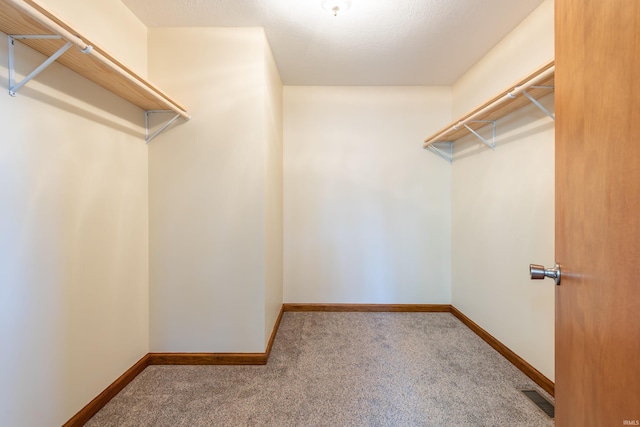 walk in closet with carpet flooring