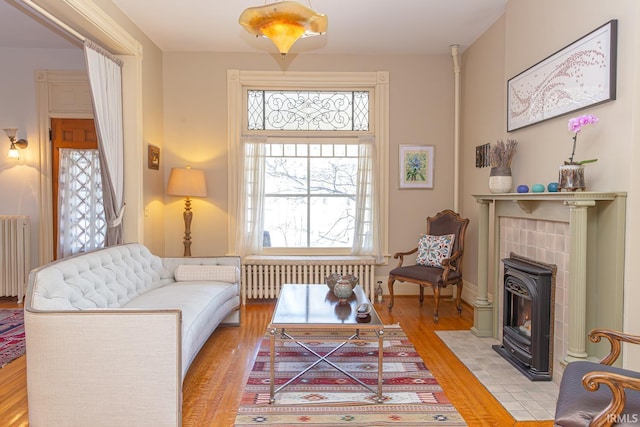 living area featuring radiator heating unit and light wood-type flooring