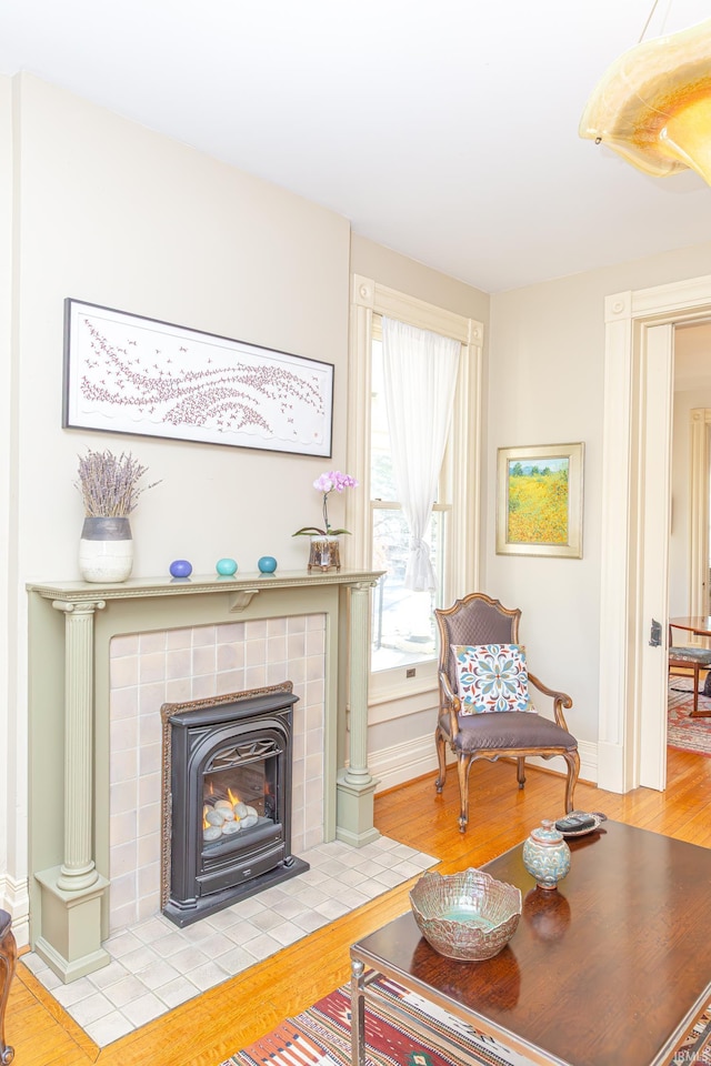 living room featuring light hardwood / wood-style flooring