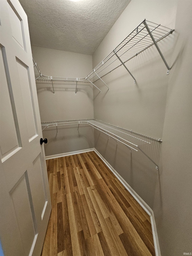 walk in closet with hardwood / wood-style flooring