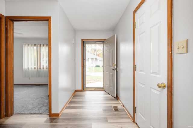 doorway with light hardwood / wood-style flooring and a wealth of natural light