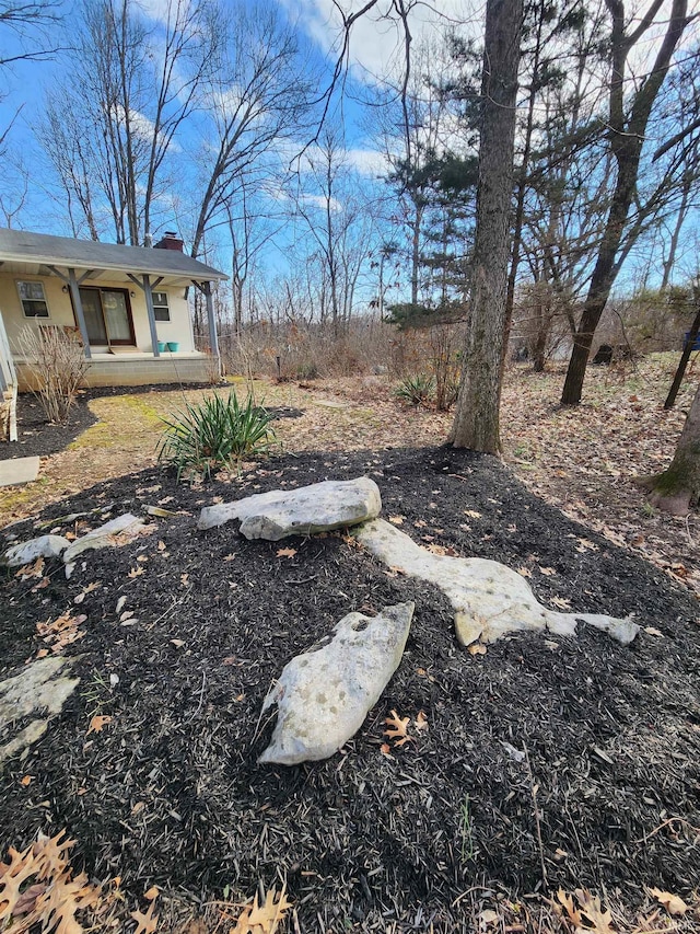 view of yard featuring a porch