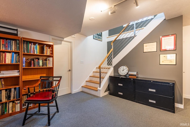 interior space featuring carpet floors, track lighting, and a textured ceiling