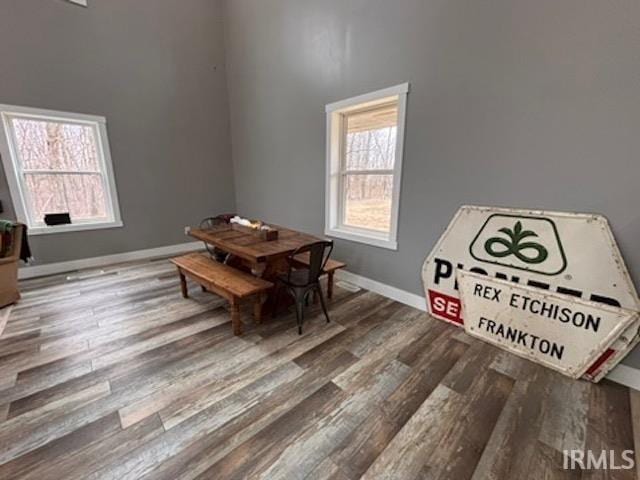 dining area with hardwood / wood-style flooring