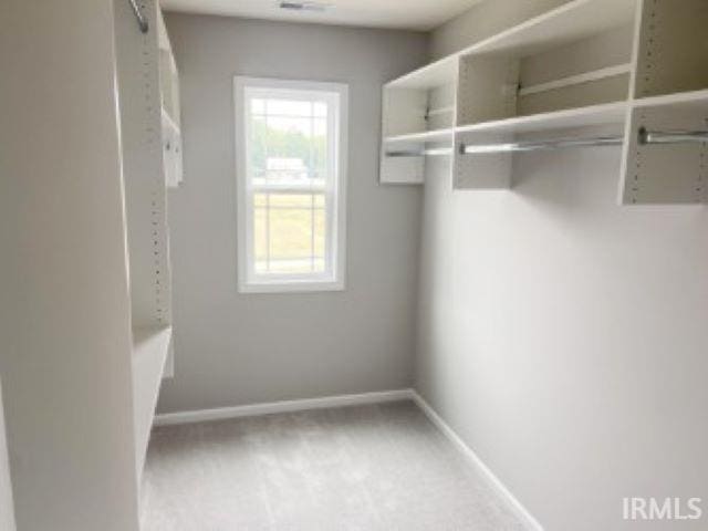 walk in closet with carpet flooring