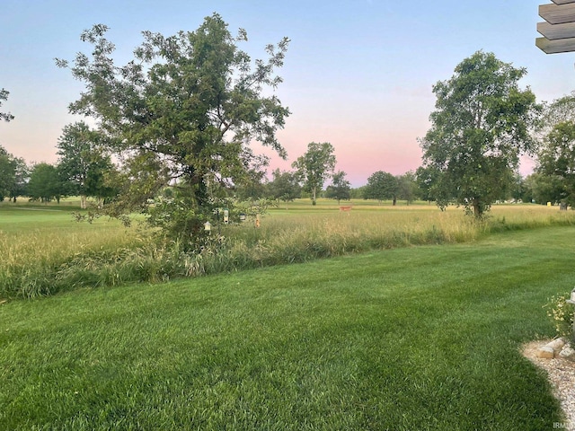 view of yard at dusk