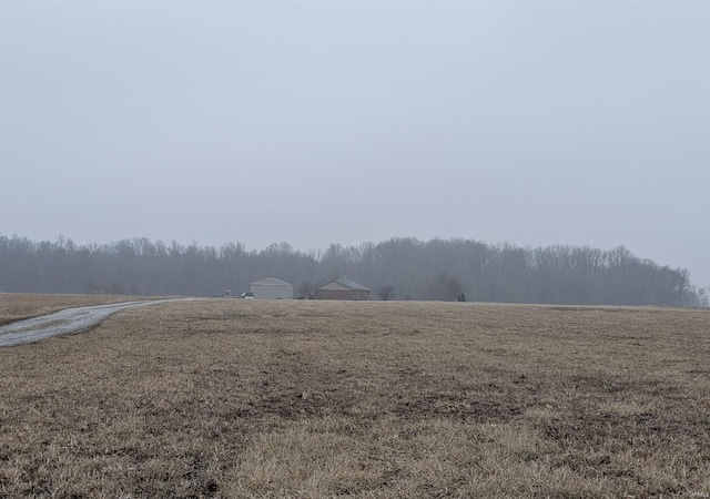 view of yard with a rural view