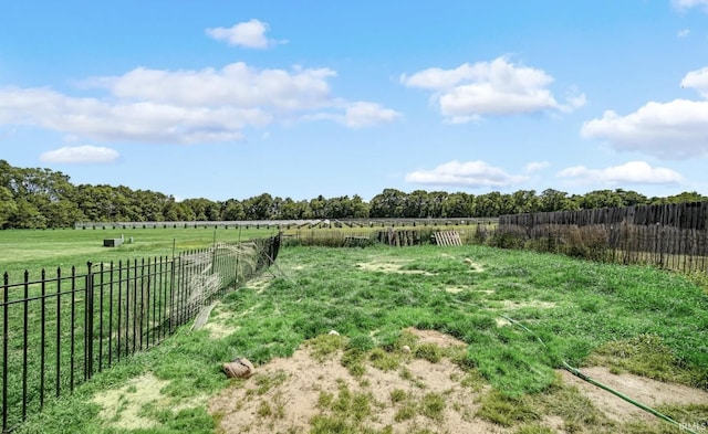 view of yard with a rural view