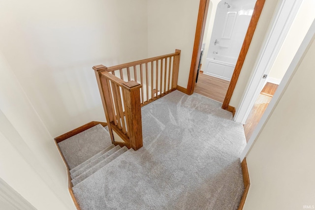 staircase with carpet