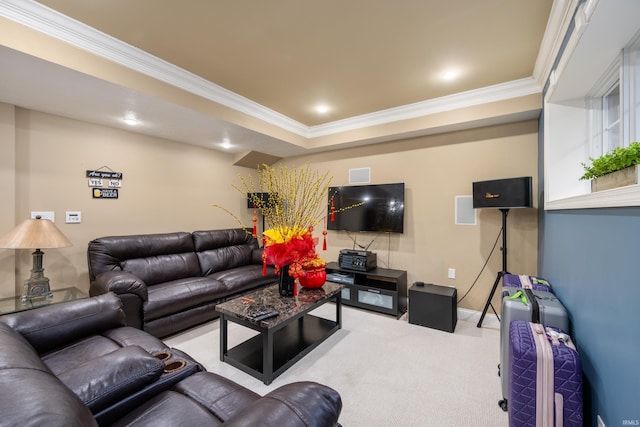 living room featuring crown molding, light colored carpet, and a raised ceiling