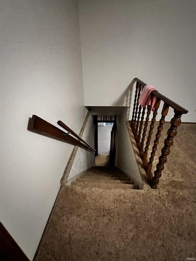 staircase featuring carpet flooring