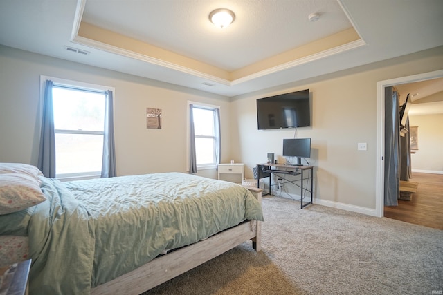 bedroom featuring a raised ceiling and carpet floors