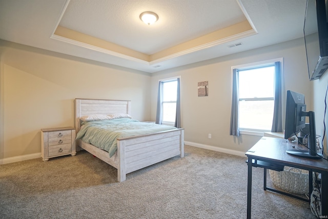 carpeted bedroom with a raised ceiling