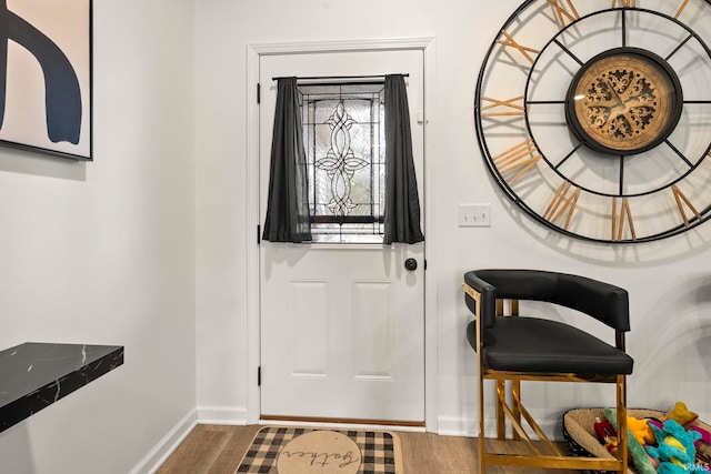 entryway with wood-type flooring