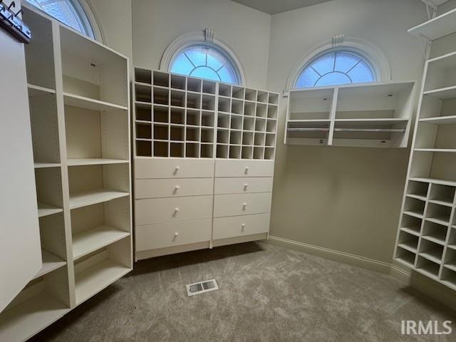 walk in closet with carpet floors