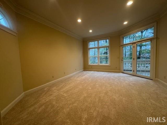 spare room featuring ornamental molding and carpet flooring