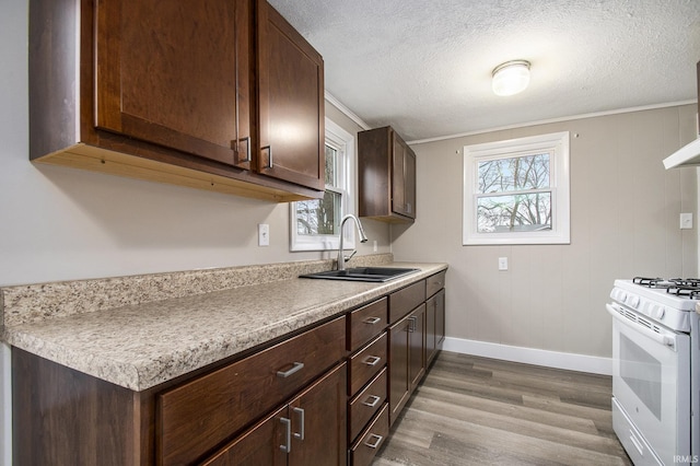 kitchen featuring white gas range, sink, ornamental molding, dark brown cabinetry, and light wood-type flooring