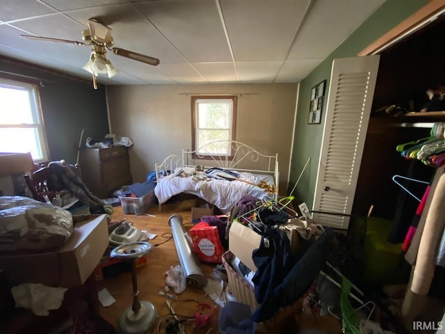 bedroom with hardwood / wood-style flooring, a paneled ceiling, ceiling fan, and a closet