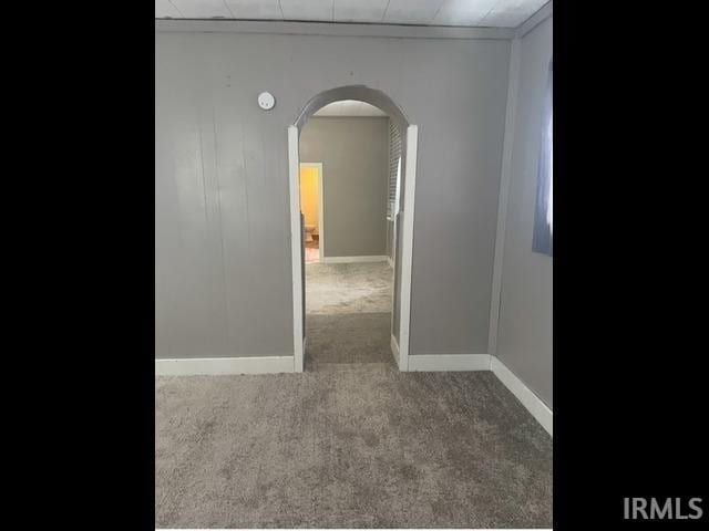 empty room featuring carpet floors