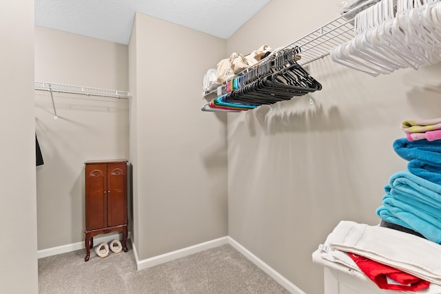 spacious closet with carpet