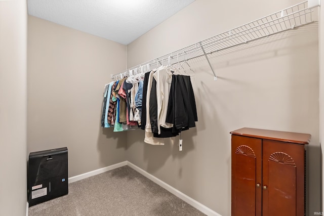 walk in closet featuring carpet