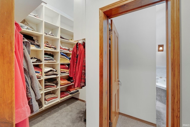 spacious closet featuring light colored carpet