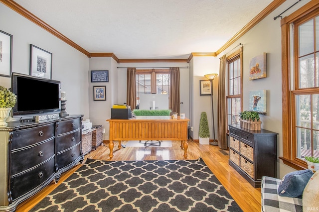 office space featuring ornamental molding, light hardwood / wood-style floors, and a textured ceiling