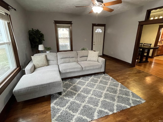 living room with ceiling fan, a textured ceiling, and dark hardwood / wood-style flooring