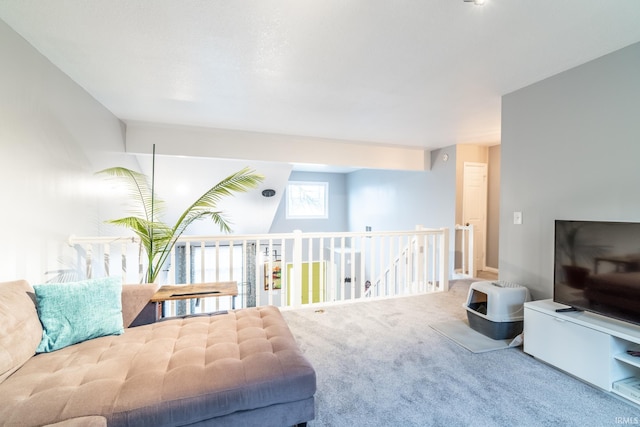 sitting room featuring carpet