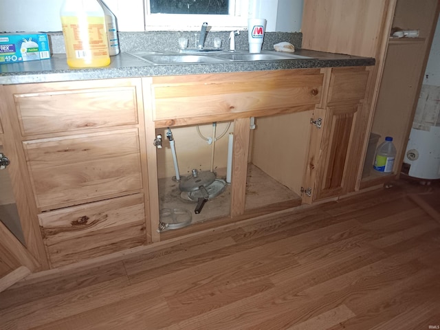 interior details featuring sink and wood-type flooring