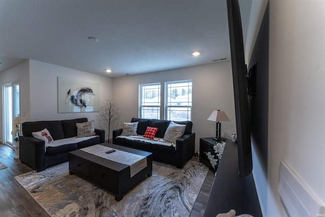 living room with dark wood-type flooring