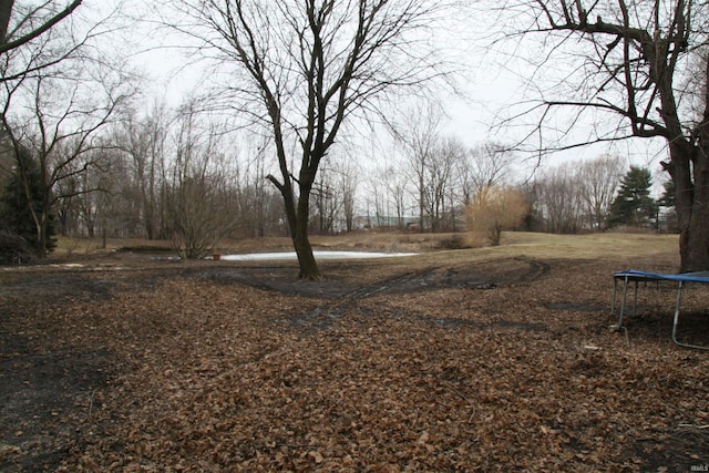 view of yard with a trampoline