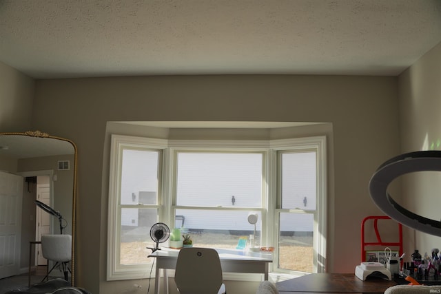 home office with a textured ceiling