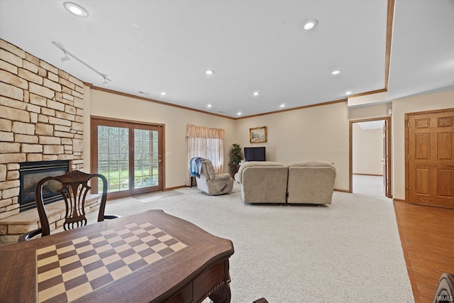 living room featuring a stone fireplace, ornamental molding, and rail lighting