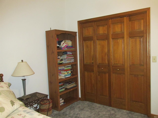 interior space with carpet floors