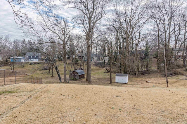 view of yard with a shed