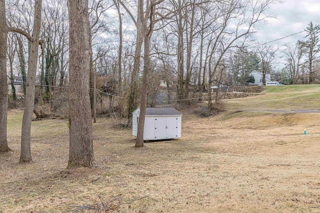 view of yard featuring a shed