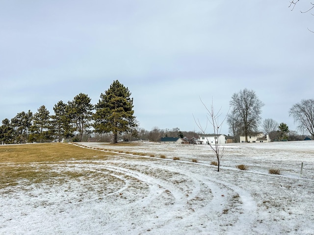 view of yard covered in snow