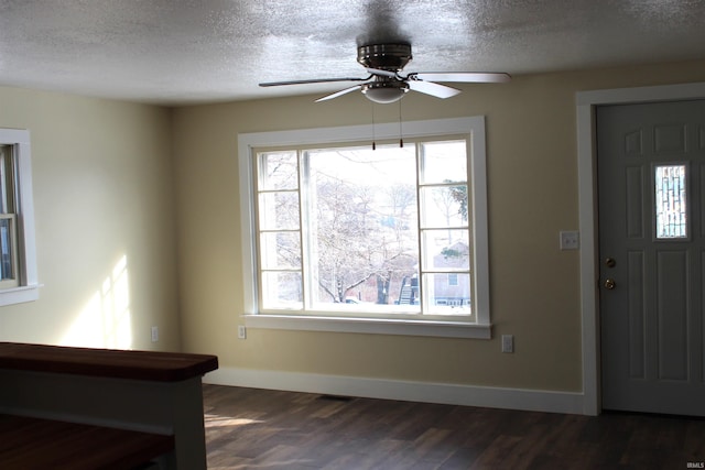 entryway with plenty of natural light, dark hardwood / wood-style floors, and a textured ceiling