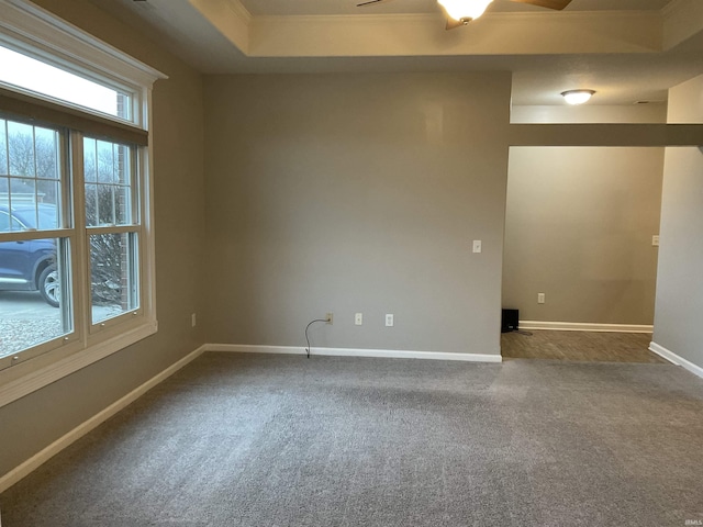 empty room featuring carpet floors