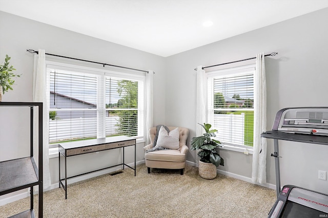 sitting room with a wealth of natural light and carpet flooring