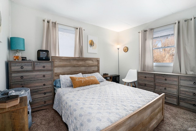 bedroom with multiple windows and dark colored carpet