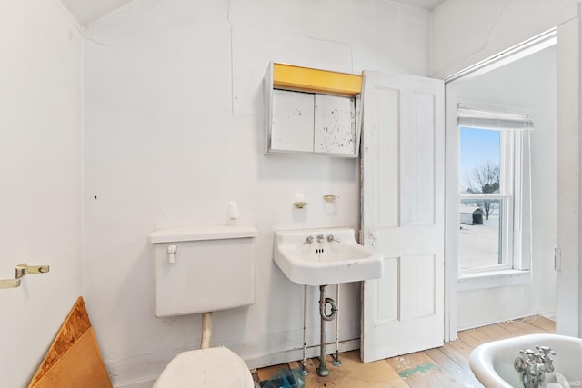 bathroom with wood-type flooring