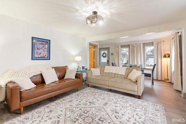 living room with wood-type flooring