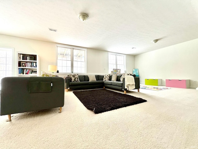 carpeted living room with a textured ceiling and a healthy amount of sunlight