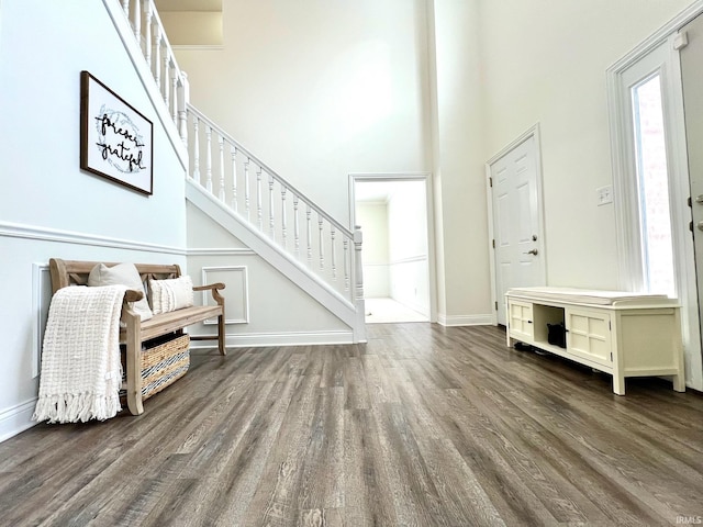 entrance foyer featuring a high ceiling and dark hardwood / wood-style flooring