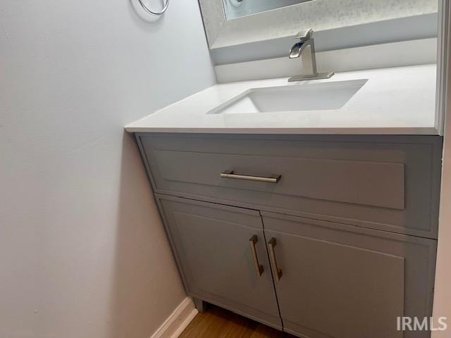 bathroom with vanity and wood-type flooring