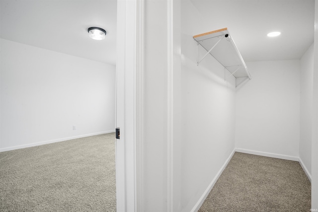 spacious closet featuring carpet flooring