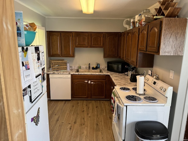 kitchen with hardwood / wood-style flooring, dark brown cabinetry, sink, white appliances, and crown molding