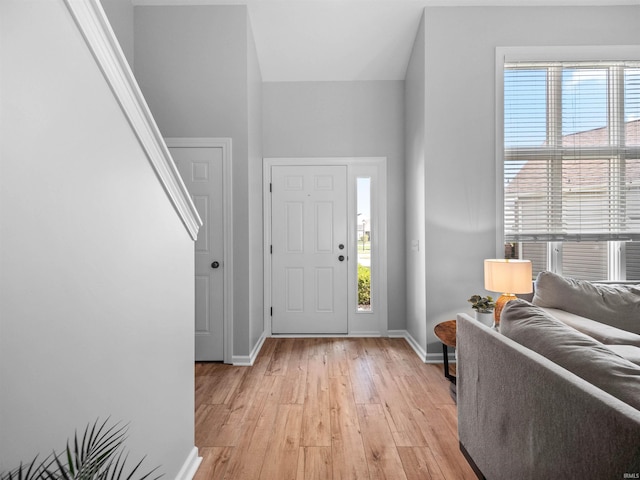 foyer featuring light wood-type flooring and a healthy amount of sunlight